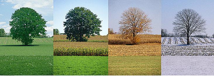 《黑客帝国：觉醒》试玩版有1248个十字路口和45073辆车