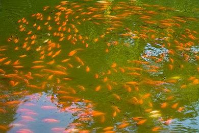 《命运2：光陨之秋》3月1日上线！缚丝超能预告片公布